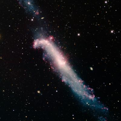 Hockey Stick Galaxy (NGC 4656)