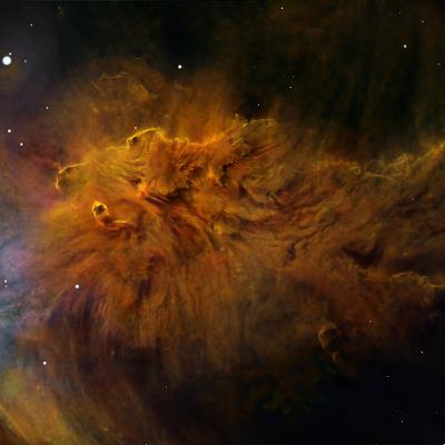 Fox Fur Nebula