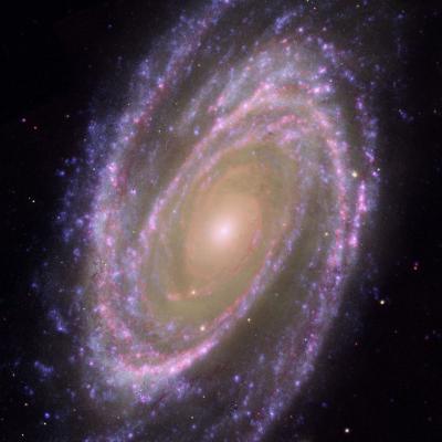 M081 Bode's Galaxy