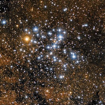 M006 Butterfly Cluster