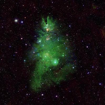 Christmas Tree Cluster (NGC 2264)